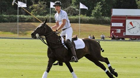 Polo Field, Dangerous Sports, Reining Horses, Polo Horse, Photos Of Prince, Horse Galloping, Sport Of Kings, Polo Match, Black Horses