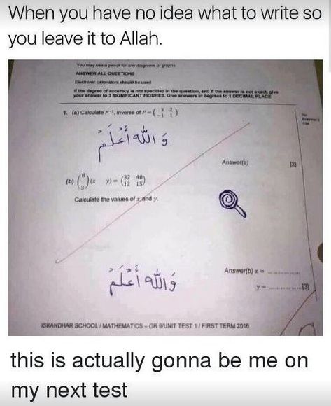 Islamic Jokes, Muslim Humor, Arab Jokes, Muslim Jokes, Halal Jokes, Muslim Meme, Halal Mode, Muslim Memes, Arabic Memes