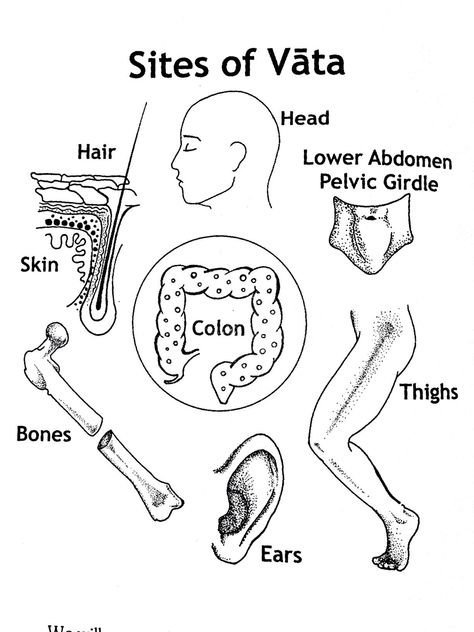 Ayurveda Pitta, Ayurveda Dosha, Ayurveda Vata, Bone Healing, Ayurveda Lifestyle, Pune Maharashtra, Magnet Therapy, Vata Dosha, Ayurveda Life