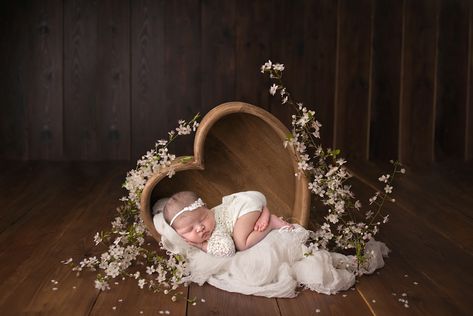 Photography Photo Ideas, Foto Newborn, Anne Geddes, Baby Kicking, Baby Pic, Baby Poses, Baby Sleep Problems, Foto Baby, Baby Arrival