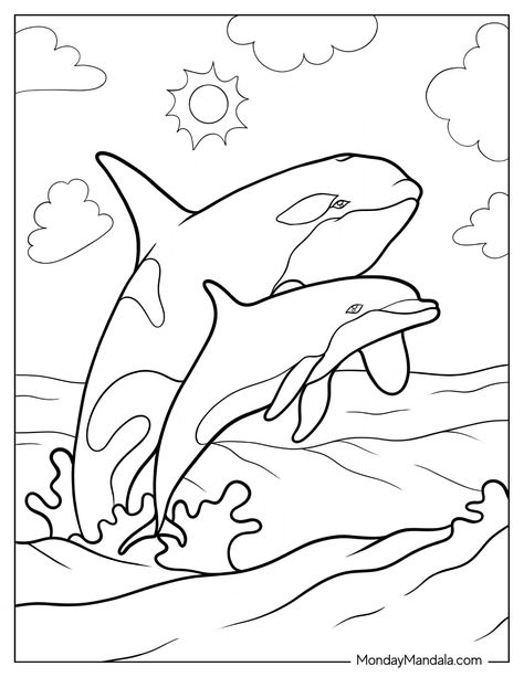 20 Killer Whale Coloring Pages (Free PDF Printables) Orca Coloring Pages, Dolphin Coloring Pages Free Printable, Whale Coloring Pages, Ocean Coloring Pages, Dolphin Coloring Pages, Dinosaur Drawing, Free Coloring Sheets, Easy Coloring Pages, Flower Coloring Pages