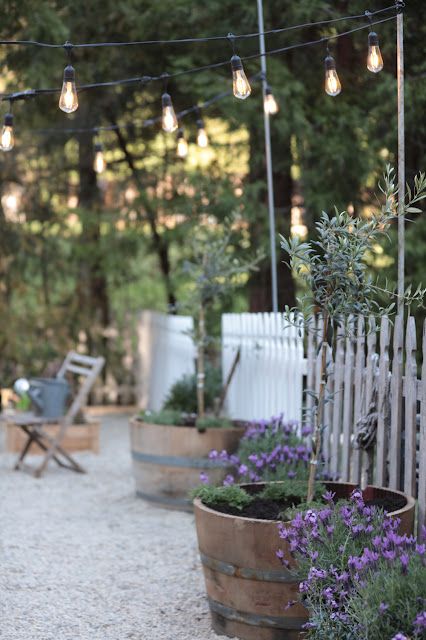 Obelisk Ideas, French Country Landscaping, Potted Olive Tree, Greenhouse Garden, Garden Obelisk, Herbs And Flowers, French Country Garden, Country Landscaping, Topiaries