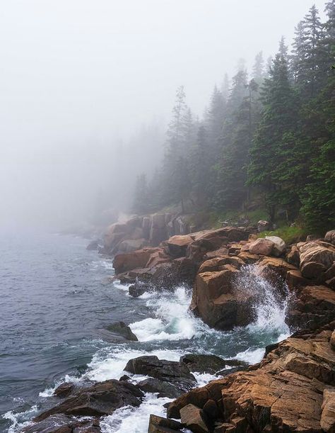 A foggy Maine coastline, Acadia National Park [OC][620 x 800] Maine Nature Photography, Coastline Aesthetic, Visiting Maine, Maine Nature, Maine Aesthetic, Maine Landscape, Maine Coastline, Acadia Maine, Maine Photography