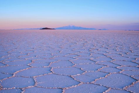 Unveil the surreal beauty of the Bonneville Salt Flats on our half-day tour! Also includes stops at Great Salt Lake State Park and the Tree of Life Sculpture. Tree Of Life Sculpture, Colorado National Parks, Surreal Beauty, Great Salt Lake, Salt Lake City Downtown, Antelope Island, Mesa Verde National Park, Bonneville Salt Flats, Kings Canyon National Park