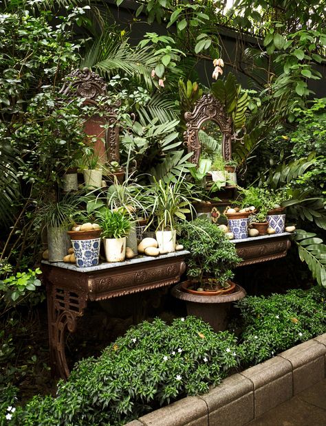 Garden Ideas Indian Homes, Sabyasachi Mukherjee, Indian Garden, Colonial Homes, Asian Paints, Indian Homes, New Farm, Maximalism, Indian Home