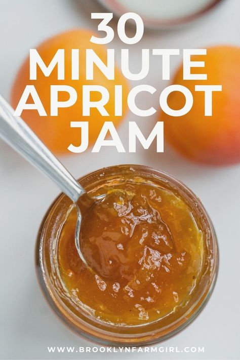 Canning Instructions, Refrigerator Jam, Fresh Apricots, Apricot Jam Recipes, Easy Canning, Apricot Recipes, Canning Jam, Fresh Fruit Recipes, Peach Jam