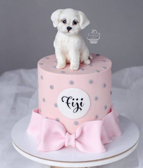 Dog Lover Cake, Dog Birthday Pictures, Puppy Dog Cakes, Pet Cake, Charlotte Cake, Dog Cupcakes, Queen Cakes, Girly Cakes, Puppy Cake