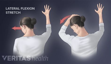 Easy Levator Scapulae Stretch for Neck Pain | Spine-health Spine Health, Neck Stretches, Muscle Pain, Neck Pain, Physical Therapy, Health