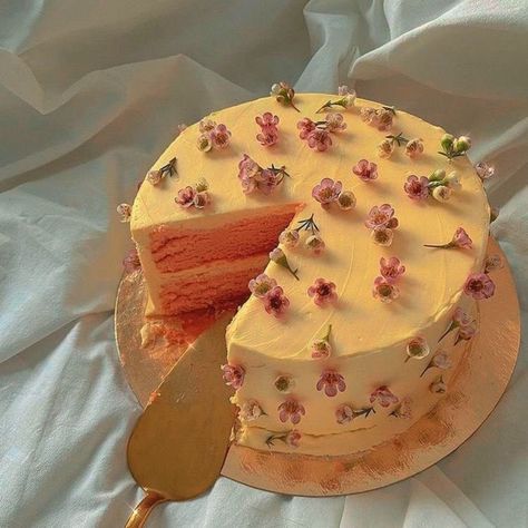 𝓓. on Twitter: "~Sunday~… " Simplistic Cakes, Minimalistic Cakes, Minimalistic Cake, Minimalist Cakes, Cute Baking, Pretty Dessert, Simple Birthday Cake, Läcker Mat, Think Food