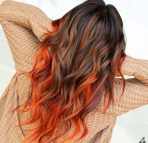 Hidden Sunset Hair, Fire Ombre Hair, Orange Ombre Hair, Fire Hair, Peekaboo Hair, Vivid Hair Color, Hair Dyes, Hair Specialist, Fall Hair Color For Brunettes