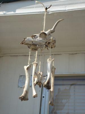 Bone Windchimes, Taxidermy Art, Bone Crafts, Vulture Culture, Animal Skull, Bone Art, Animal Bones, Animal Skulls, Skull And Bones