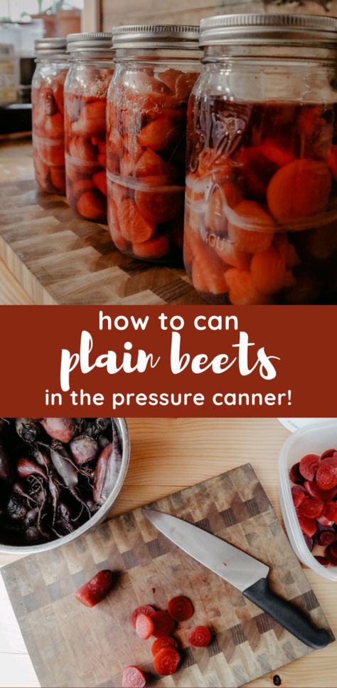 Pressure Canner Recipes, Canned Pickled Beets, Canning Beets, Pickled Beets Recipe, Easy Canning, Pressure Canning Recipes, Canning Vegetables, Canning Recipe, Pressure Canner