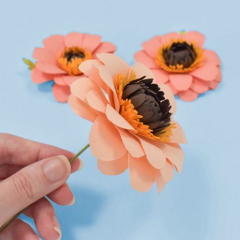 How To Make Paper Zinnias From Cardstock Making paper flowers is a fun pastime for any season of the year. Zinnias bloom from Spring until the first frost of Winter or Fall. Their deep rich colors bring to mind the warmth of autumn. In this tutorial, you will learn how to make handmade paper zinnias.... The post DIY Paper Zinnia Flower Craft For Fall With Templates appeared first on Abbi Kirsten Collections. Free Craft Templates, Paper Rose Template, Zinnia Flower, Paper Dahlia, Paper Sunflowers, Monthly Crafts, Zinnia Flowers, Rose Tutorial, Large Paper Flowers