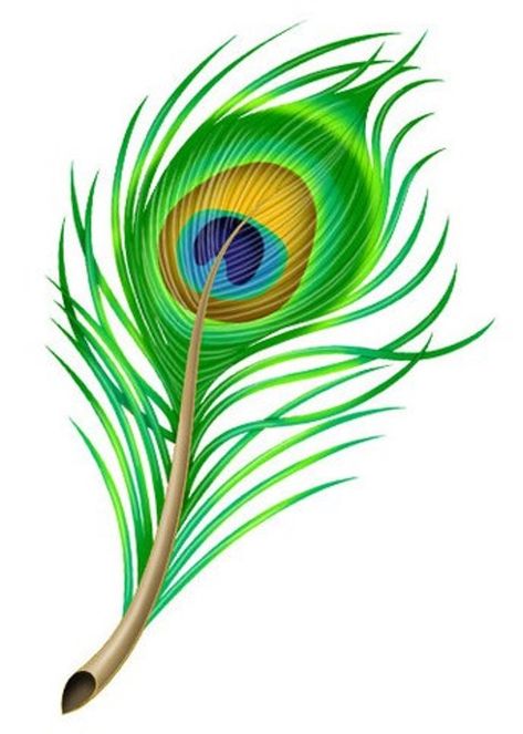 Peacock Tattoo Designs, Peacock Tattoos, Tattoos For Females, Peacock Feather Art, Peacock Feather Tattoo, Peacock Tattoo, Feather Drawing, Peacock Pictures, Feather Tattoo Design