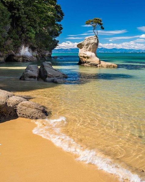 Abel Tasman National Park, New Zealand Beach, Abel Tasman, New Zealand Landscape, New Background Images, Golden Beach, New Zealand Travel, South Island, Banff National Park