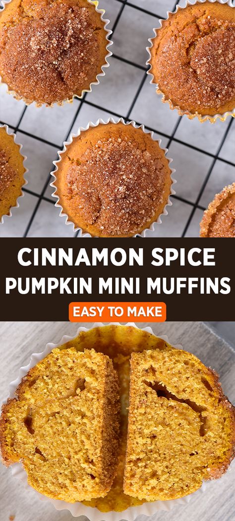 Cinnamon Spice Pumpkin Mini Muffins Spice Cake Pumpkin Muffins, Pumpkin Mini Muffins, Leftover Pumpkin Puree, Mini Pumpkin Muffins, Mini Muffin Recipe, Pumpkin Muffin Recipes, Leftover Pumpkin, Pumpkin Chocolate Chip Muffins, Spice Muffins