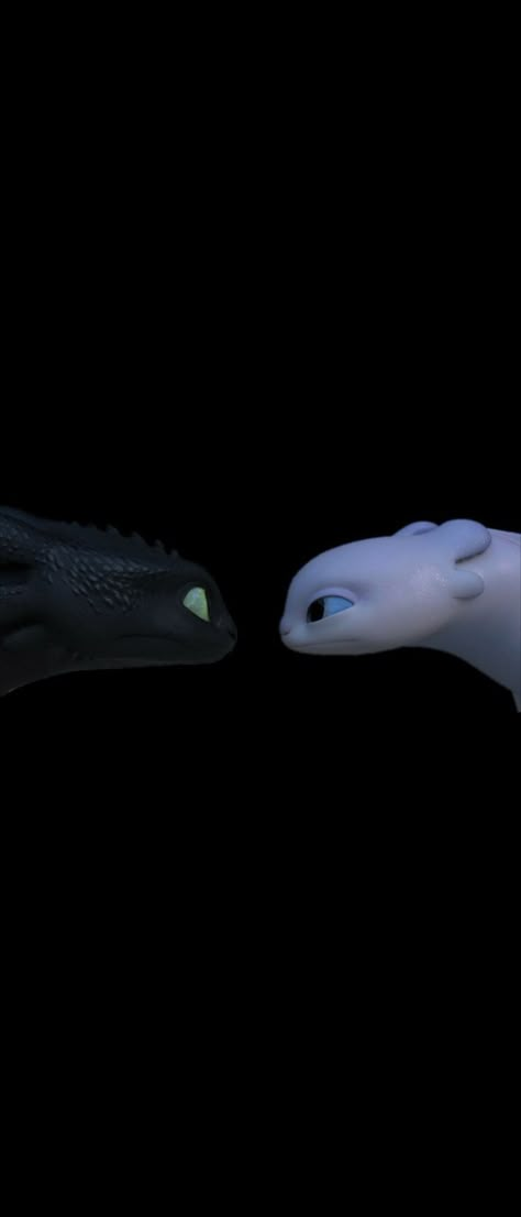 Toothless Matching Wallpaper, Toothless And Light Fury Matching Wallpaper, Httyd Matching Wallpaper, Toothless Couple Wallpaper, Toothless Background, Cute Toothless Wallpaper, Toothless And Light Fury Wallpaper, Toothless And Light Fury Matching Icons, Toothless Wallpaper Aesthetic