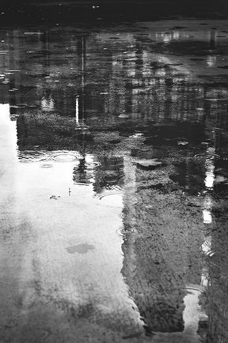 Reflection, Toronto, Puddle, Water, Black and White, Rain, City, Skyline Water Black And White, Black And White Rain, Rain Shadow, City Rain, Photography Essentials, Black And White Photo Wall, Black And White City, Black And White Picture Wall, Reflection Photography