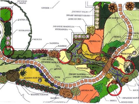 Garden Plan 1 Garden With Fire Pit, Small Japanese Garden Ideas, Sitting Area Design, Landscape Design Software, Garden Planning Layout, Japanese Magnolia, Small Japanese Garden, Japanese Garden Landscape, Dry Creek Bed