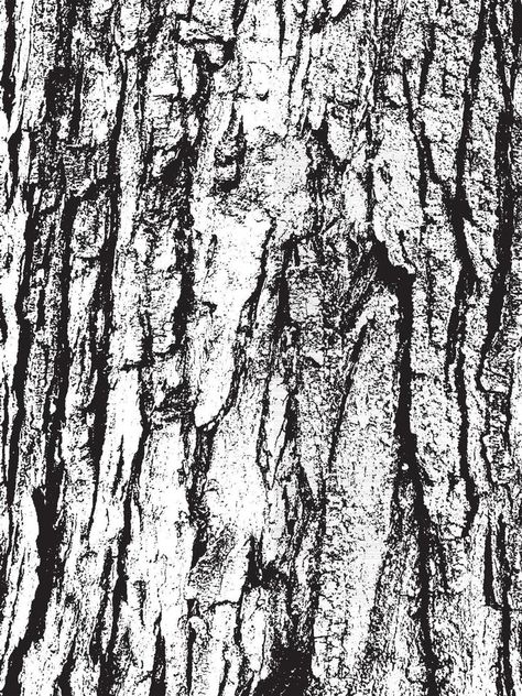 Texture Sketch, Tree Bark Texture, Bark Texture, Tree Textures, Texture Drawing, Business Templates, Texture Vector, Tree Drawing, Tree Bark