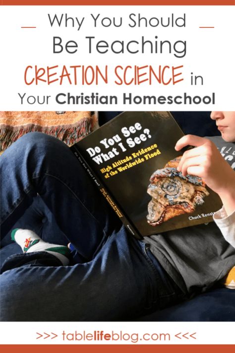 Why you should be teaching creation science in your Christian homeschool, no matter what.  | Book Review of Do You See What I See? High Altitude Evidence of the Worldwide Flood by Charles Renstrom • #homeschooling #creationscience #apologetics Homeschooling Elementary, Homeschooling Science, Homeschool Science Experiments, Science Homeschool, Start Homeschooling, Teaching Character, Creation Science, Christian Homeschool, Learning Board