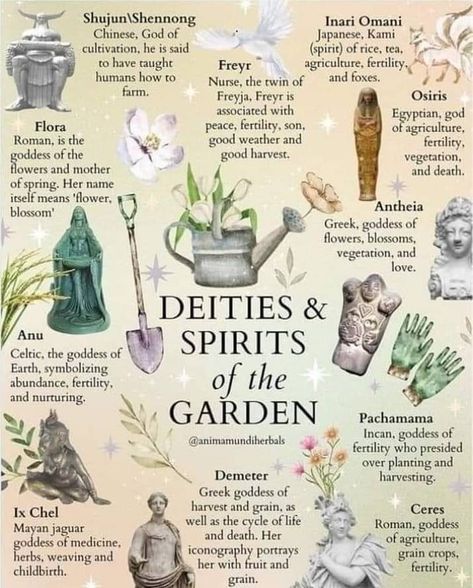 Witchy Alter, Witchy Garden, Tattoo Plant, Green Witchcraft, Witch Spirituality, Magic Spell Book, Witch Garden, Wiccan Spell Book, Hedge Witch