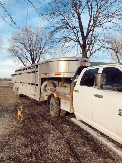 #ranchlife #western #illinois #cowboy Ranch Truck, Cowboy Truck Aesthetic, Ranch Dogs Aesthetic, Montana Ranch Life Aesthetic, Ranch Horses Working, Real Cowgirl, Cowboy Ranch, Horses In Trailer, Military Romance