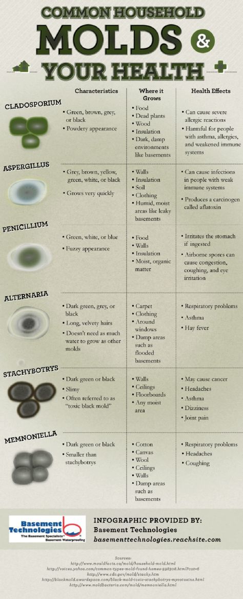 How Household Molds are Dangerous for Your Health - Infographic Health Infographic, Mold Exposure, Types Of Mold, Mold Remover, Health Risks, Health Info, Mold And Mildew, The Common, Health Remedies