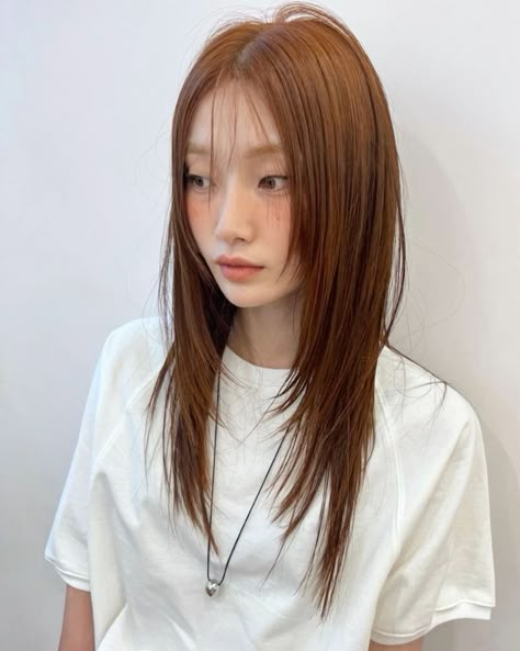 Short Face Framing Layers Straight Hair, Pin Straight Hair With Layers, Hime Layer Hairstyle, Hair Layers Straight, Hush Cut Hair Long, Hush Cut Hair Medium, Hush Cut Short, Asian Black Hair, Hush Cut