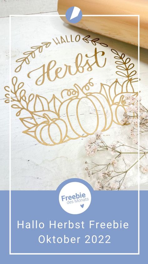 Hallo Herbst Plotterdatei - Oktober 2022 Freebie Download für deinen Plotter Silhouette Cameo Freebies, Silhouette Cameo, Place Card Holders, Cricut, Social Media, Orange, Media, Pattern