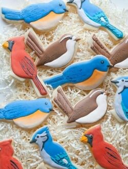 Backyard Birds cookies Cut Out Cookie Recipe, Bird Cookies, Bird Cakes, Bird Birthday, Spring Cookies, Sugar Cookie Frosting, Fancy Cookies, Creative Cookies, Animal Cookies