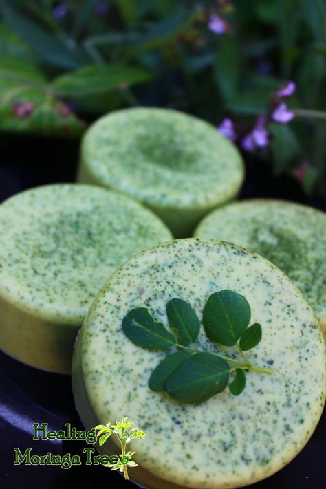 Healing Moringa Vegan Soap! Moringa garden~@ www.HealingMoringaTree.com Lush Soap, Moringa Recipes, Hemp Oil Soap, Making Soaps, Moringa Seeds, Savon Diy, Citrus Soap, Moringa Tree, Coconut Soap