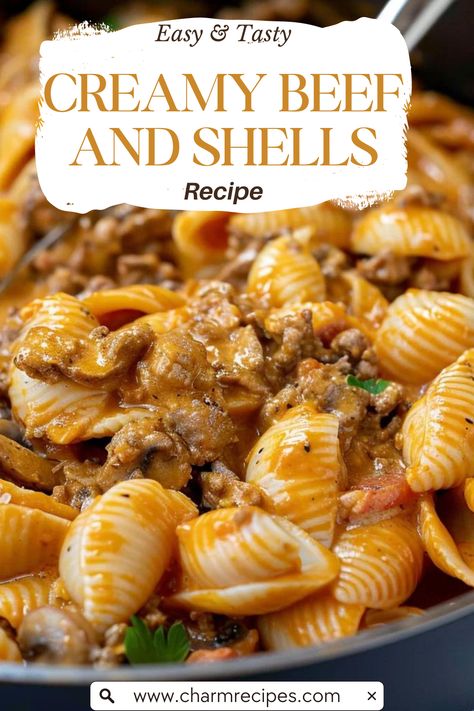 Creamy Beef and Shells: A Step-by-Step Recipe Guide Shell Noodles Ground Beef, Easy Creamy Beef And Shells, One Pot Creamy Beef And Shells, Mexican Hamburger And Shells, Beef Shells And Cheese, Creamy Garlic Beef Pasta, Large Shell Pasta Recipes Ground Beef, Large Shells Pasta Recipes, Beef Shells Pasta