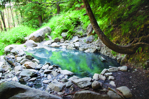 Olympic Hot Springs photo by Ken Reppart Washington Waterfalls, Washington Nature, Washington State Parks, Washington Hikes, Orcas Island, Rainier National Park, Winter Getaway, Spring Resort, Olympic National Park