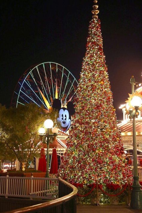 Christmas Aesthetic Red, Disneyland Holidays, California Christmas, Disneyland Christmas, Modern Christmas Tree, Disneyland California, Aesthetic Red, Cool Christmas Trees, Disney California Adventure