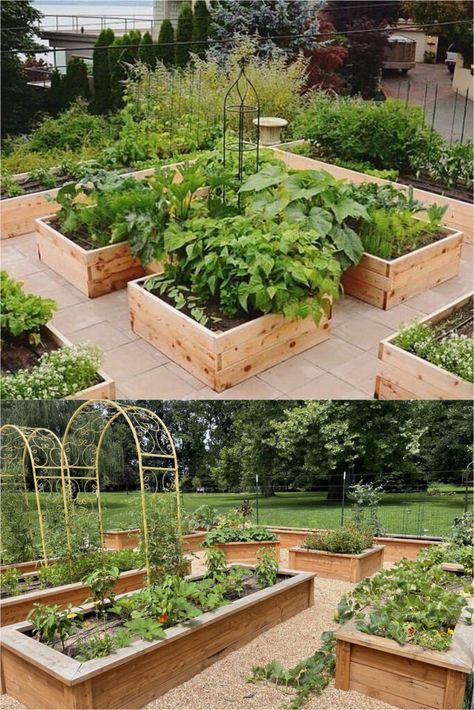 25 best vegetable garden design ideas & easy layout plans for beginners & pros to grow your own food in a front or backyard edible landscape. - A Piece of Rainbow, kitchen garden, vegetable gardening ideas, small space tips, grow your own food, herbs, homestead, homesteading, spring, summer, raised beds, trellis, greenhouse, DIY Small Kitchen Garden Layout, Raised Garden Beds Layout Design Landscaping Ideas, Vegetable Garden Design Layout, Trellis Ideas Garden, Outdoor Trellis Ideas, Vegetable Garden Layout Design, Vegetable Garden Design Ideas, Greenhouse Diy, Garden Trellis Ideas