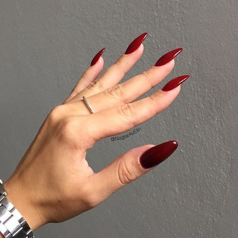 Only other nailtechs understand this kind of pictures😂 Sideview on my own nails. Vamp red❤️ #självlärd #selftaught #nagelamatörer #gelnails #gelenaglar #naglar #nails #uvnails #nagelförlängning #nailextension #rednails #rödanaglar #darkrednails #winerednails #vampnails #lillynails #lillynailsvampred #baseone #silcare #naileon #coolnails #almondnails #ovalnails #roundednails #mynails #newnails #sideview #nailshape Nails Side View, Nails Inspiration Red, Red Bottom Nails, Almond Nails Red, Almond Nails Designs Summer, Deep Red Nails, Long Red Nails, Long Almond Nails, Velvet Nails