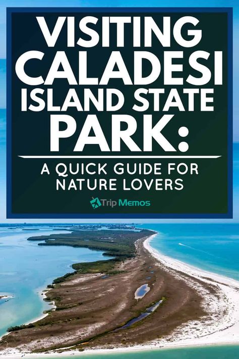 Visiting Caladesi Island State Park: A Quick Guide for Nature Lovers Caladesi Island, Caladesi Island State Park, Florida Travel Destinations, Honeymoon Island, Florida Trip, Mangrove Forest, Island Park, Destin Beach, Florida Travel