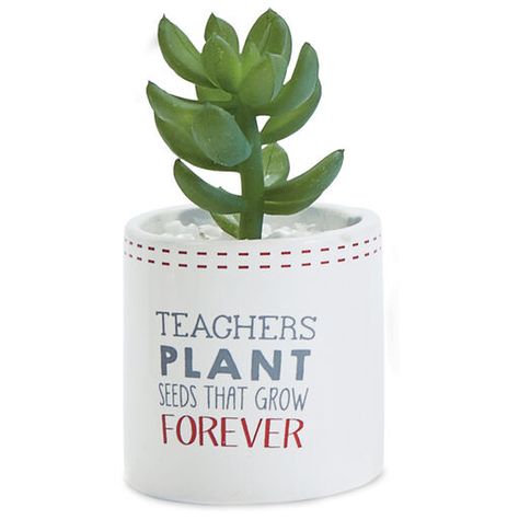 Mothers Day Plants, Plant Puns, Teacher Appreciation Gifts Diy, Teachers Diy, Succulent Gifts, Plant Seeds, Diy Teacher Gifts, Faux Succulents, Teacher Christmas