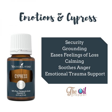 Cypress Essential Oil and Emotions Cypress Essential Oil Benefits, Young Living Cypress, Oil Dropper, Cooking With Essential Oils, Cypress Essential Oil, Essential Oil Roller Balls, Yl Oils, Yl Essential Oils, Essential Oil Benefits