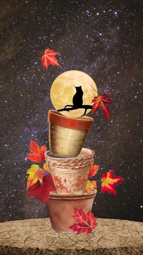 Autumn Iphone Wallpaper, Iphone Wallpaper Autumn, Dark Iphone Wallpaper, Iphone Wallpaper Dark, Wallpaper Autumn, Cats Halloween, Iphone Wallpaper Cat, Autumn Halloween, Awesome Designs