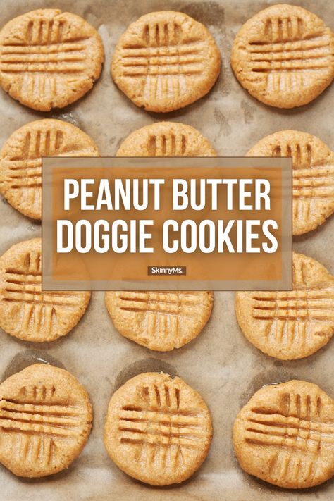 Doggie Cookies, Dog Cookie Recipes, Pet Treats Recipes, I Lost 100 Pounds, Dog Treats Homemade Easy, Easy Dog Treat Recipes, Dog Biscuit Recipes, Easy Dog Treats, Healthy Dog Treats Homemade