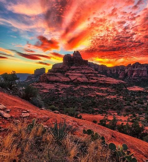 (16) Alanna (@Alanna_Jones_1) / Twitter Usa Nature, Travel Nature, Sunset Pictures, Natural Life, Phoenix Arizona, Usa Travel, Sedona, Photography Photos, Sunrise Sunset