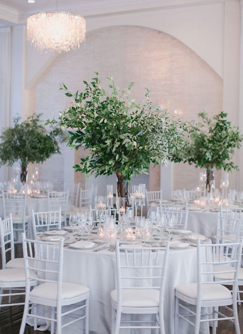 Nathelie+and+Michael’s+wedding+at+Belle+Mer Cheap Wedding Table Centerpieces, Branch Centerpieces Wedding, Wedding Reception Tablescapes, Olive Branch Wedding, Greenery Wedding Centerpieces, Centerpiece Diy, Greenery Centerpiece, Tall Wedding Centerpieces, Reception Tablescapes