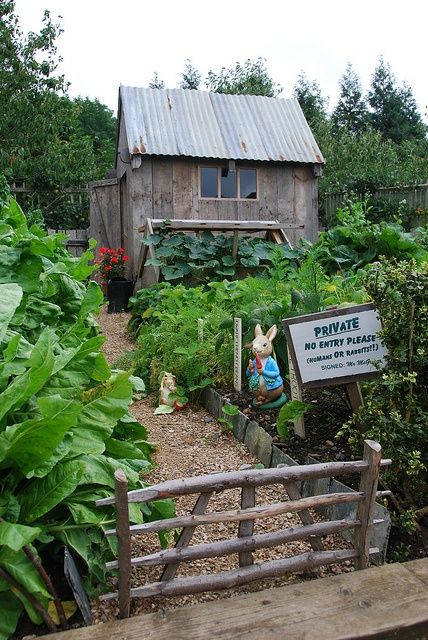 Rabbit Garden, Potager Garden, Cottage Garden Design, Recycled Garden, Veg Garden, Garden Care, Veggie Garden, Garden Cottage, Farm Gardens