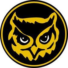 Owl Kennesaw State University, Kennesaw State, Us School, Owl Logo, Georgia On My Mind, Old Logo, Georgia Usa, University Logo, Great Logos