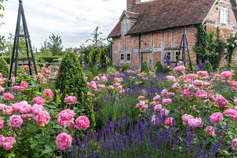 Rose garden ideas: 14 rose gardens to inspire | Rose Garden Ideas, Rose Garden Design, Fragrant Garden, Types Of Roses, Garden Design Layout, Planting Shrubs, Castle Garden, Style Cottage, David Austin Roses