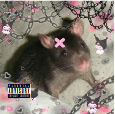 baddie rat bad girl kuromi chains Rat Icons Aesthetic, Wholesome Pfp, Rat Aesthetics, Rats Aesthetic, Rat Aesthetic, Rattus Rattus, Brown Rat, Aesthetic Warning, Rat Boy