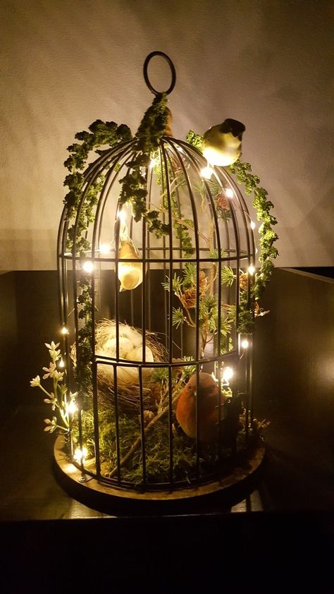 Vintage Bird Cage Decor, Birdcage Planter, Lantern Ideas, Bird Cage Decor, Vintage Bird Cage, Diy Basket, Bird Cages, Bird Decor, But Why