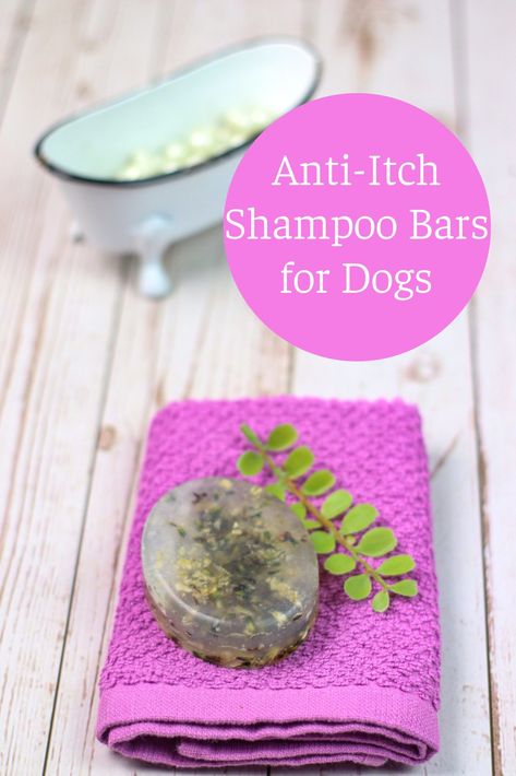 Homemade Dog Soap Recipe, Diy Dog Products, Dog Soap Bar Recipe, Dog Shampoo Homemade, Dog Shampoo For Itchy Skin, Dog Shampoo Recipe, Food For Dry Skin, Diy Dog Shampoo, Homemade Dog Shampoo